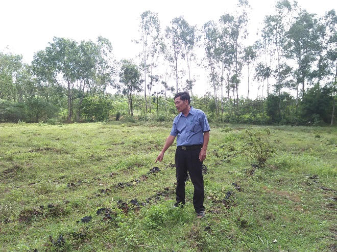 Bản án oan nghiệt “doanh nghiệp đem dịch bệnh về quê hương”