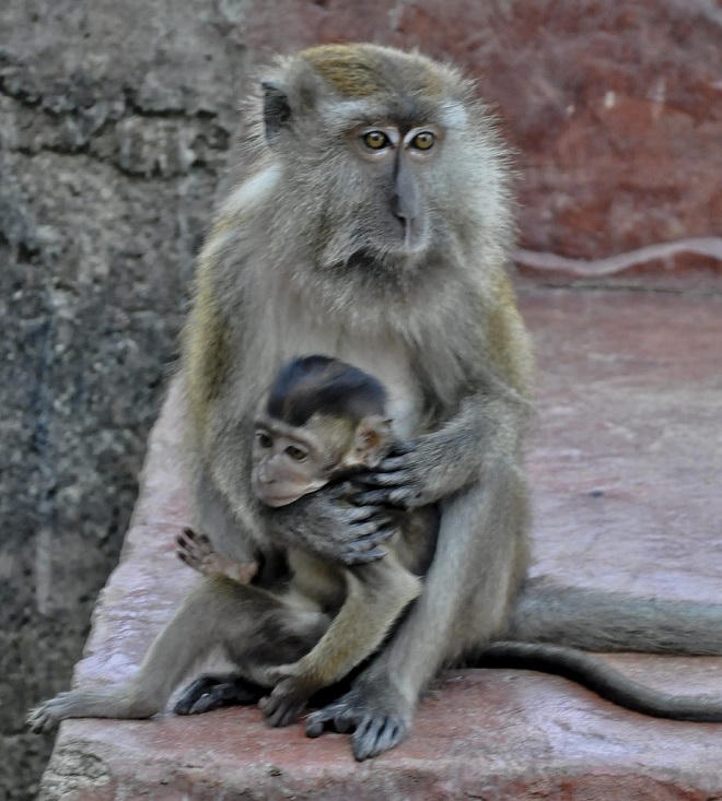 Hồ “Trinh nữ thụ thai' cuốn hút các cặp đôi hiếm muộn