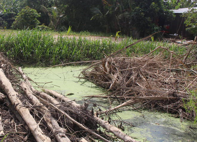 Hé lộ nguyên nhân nghi phạm giết nữ MC đám cưới