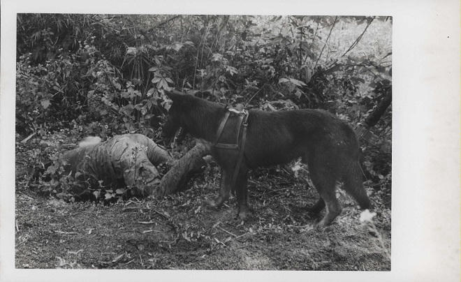 Đội quân 'xuất quỷ nhập thần' (Bài 3): 'Thiên la địa võng' chờ quân Mỹ dưới lòng đất Củ Chi