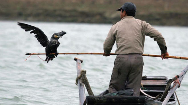Hồ nước ngọt lớn nhất Trung Quốc: Những vụ tàu thuyền mất tích khoa học chưa thể “giải mã”
