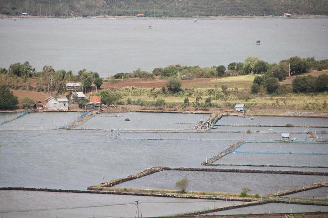 Danh thắng Đầm Ô Loan bị xâm hại nghiêm trọng