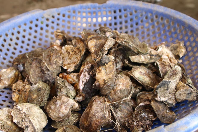 Danh thắng Đầm Ô Loan bị xâm hại nghiêm trọng