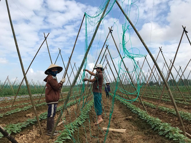 Chỉ dấu mùa Xuân ở nơi lũ rút