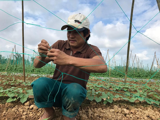 Chỉ dấu mùa Xuân ở nơi lũ rút