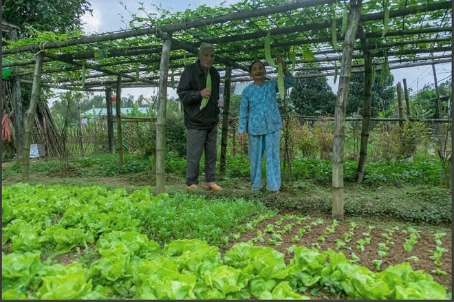 Chỉ dấu mùa Xuân ở nơi lũ rút