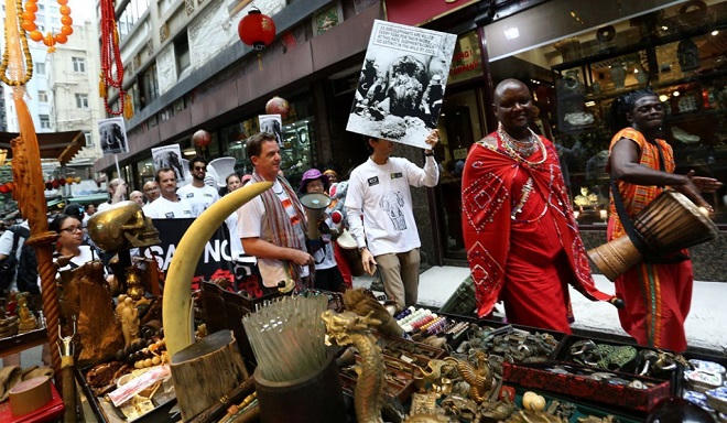 Con tê giác trắng Bắc Phi đực cuối cùng đã chết: Tiếng kêu cứu từ châu Phi hoang dã