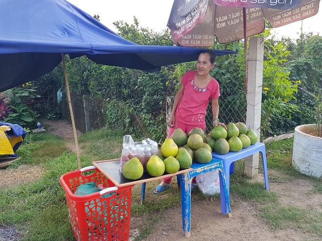 Làng bưởi Tân Triều rộn ràng mùa Tết