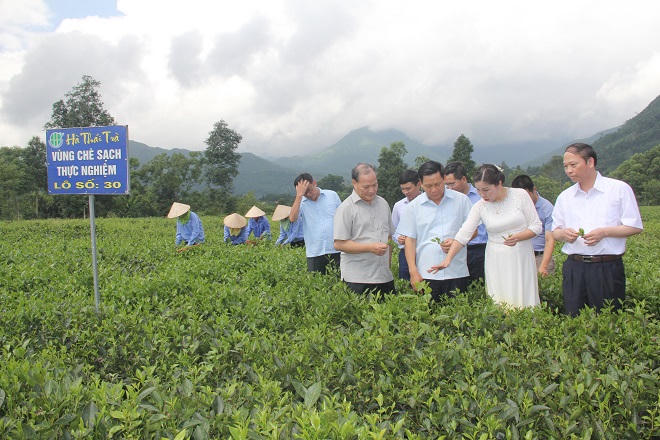 Thái Nguyên gắn phát triển kinh tế với an sinh xã hội