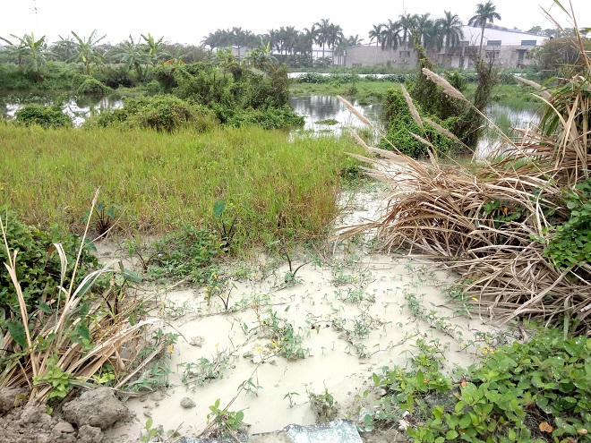 Nhức nhối nạn ô nhiễm tại một số cụm công nghiệp ở Hoài Đức (Hà Nội)