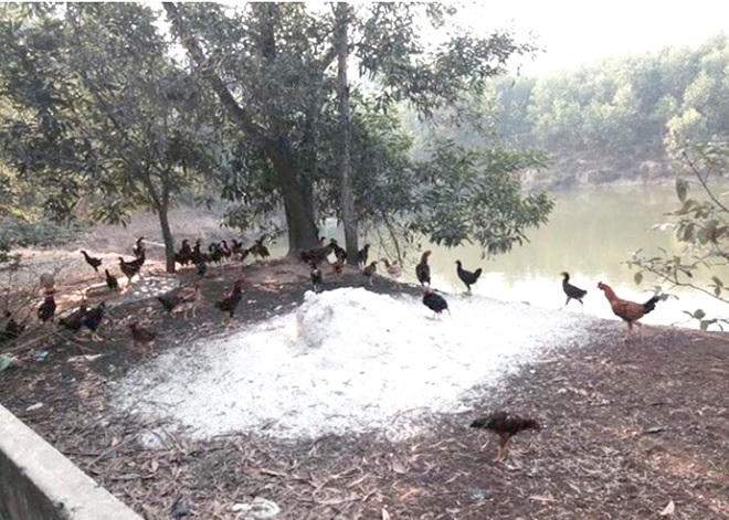 Lãnh đạo địa phương bức tử doanh nghiệp (Bài 3): Mất 14 tỷ sau lần bị… tước quyền làm nông dân  