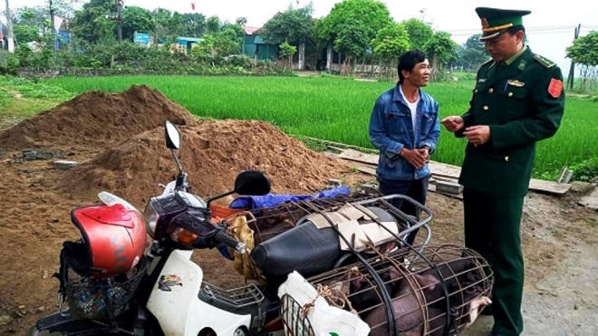 Quân đội đẩy mạnh phòng chống dịch tả lợn châu Phi