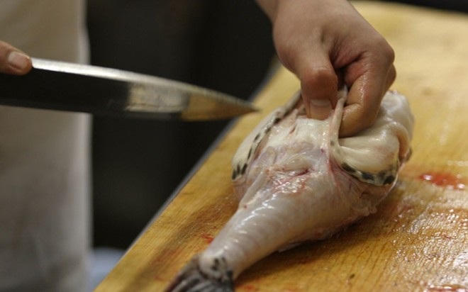 Chi cả ngàn USD để thưởng thức cá nóc Nhật Bản