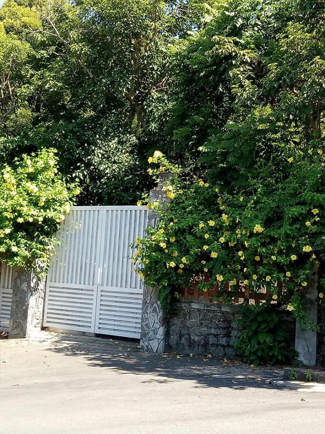 Loạt sai phạm trong các dự án trên bán đảo Sơn Trà: Đất biệt thự giá thuê chỉ 2.000 đồng/m2