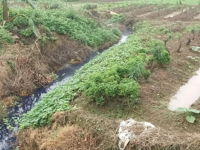 Ám ảnh dòng nước đổi màu như 'tắc kè hoa' ở Dương Nội - Hà Đông