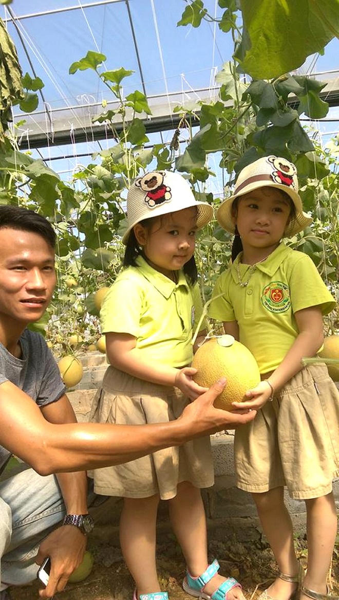 Chàng trai xứ Nghệ gác bằng đại học làm ông chủ vườn dưa