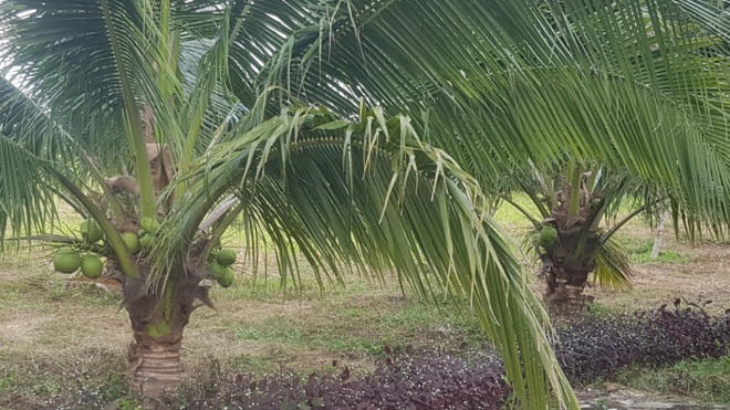 Sai phạm tại dự án Minh Viễn Lăng Cô: Lập biên bản, quyết định giả hòng trốn bồi thường cho dân?