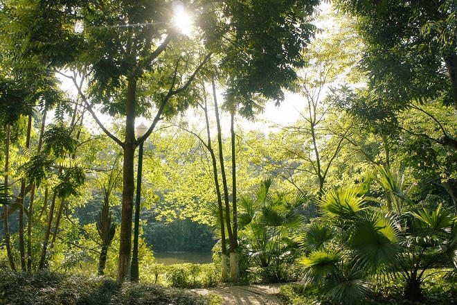 Không khí tại Ecopark sạch hơn nhiều lần so với quy chuẩn