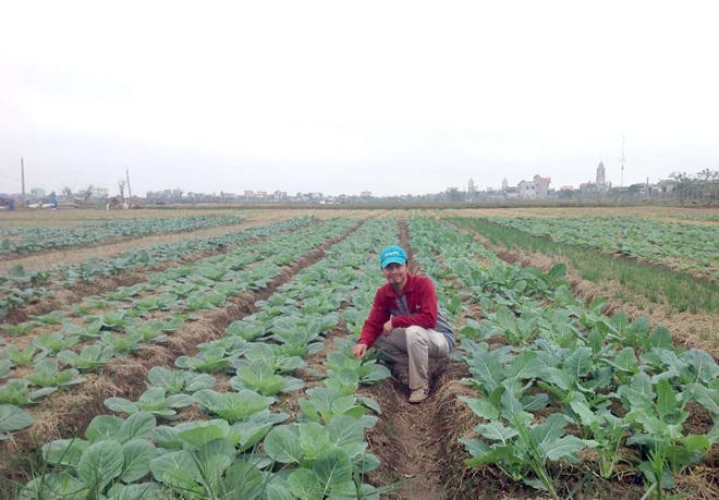 Chủ tịch HĐQT HTX Nông nghiệp Trường Xuân: Thành công khi anh kỹ sư dám nghĩ khác, bỏ lương “ngàn đô” về quê lái máy cày 