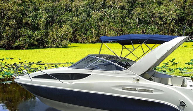 Hào hứng du thuyền ở Trà Sư