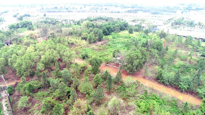 Viết tiếp sự việc “dấu hiệu sai phạm tại “đại dự án” Sơn Tiên”: Nông dân mất đất phẫn nộ vì bị vu khống “cò thưa kiện”