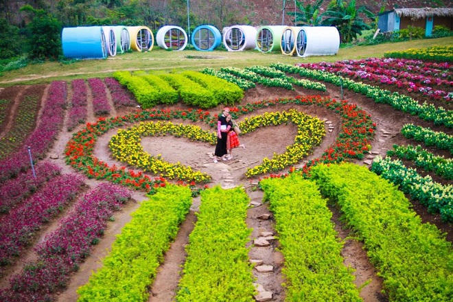 Giám đốc 28 tuổi phá vỡ bế tắc của 'du lịch thời vụ' mang trái ngọt về Mộc Châu