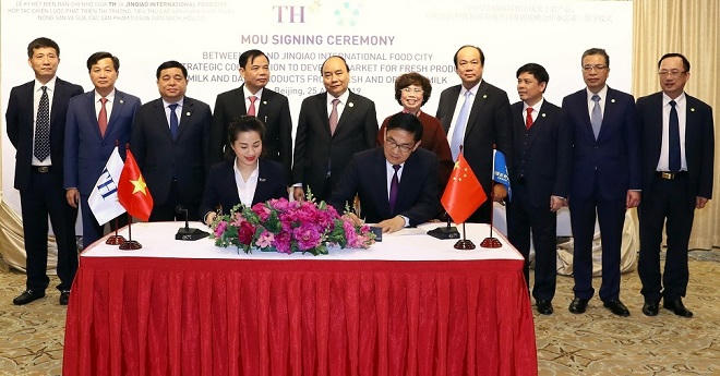 Gắn chip cho bò, doanh nghiệp đầu tàu 'kéo' nông dân cùng đi