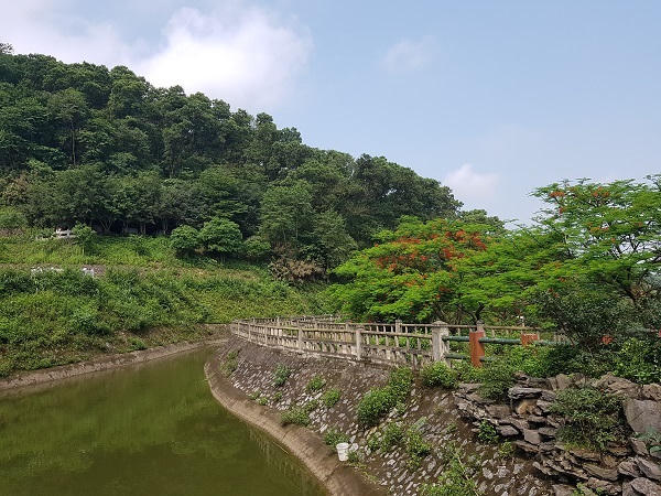 Thực hư vụ phá rừng làm dự án khu du lịch sinh thái Thác Bạc – Suối Sao? 