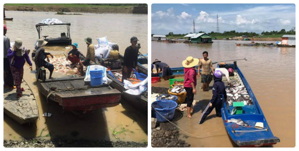 Cá chết dai dẳng nhiều năm trên sông La Ngà (Đồng Nai): Hàng chục năm 'điệp khúc' nguyên nhân do... ông trời