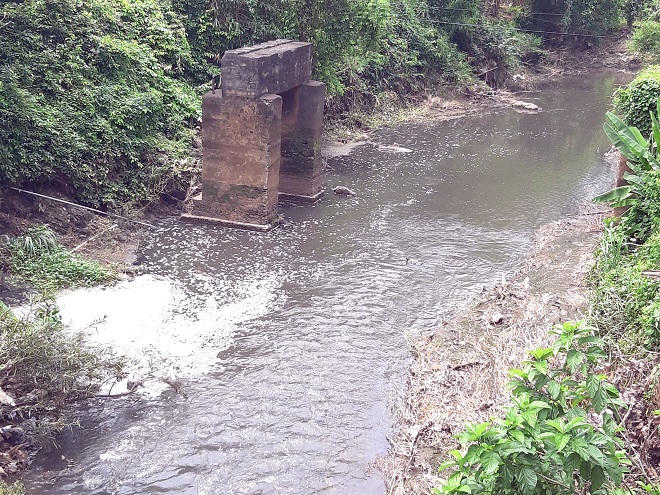 Cá chết dai dẳng nhiều năm trên sông La Ngà (Đồng Nai): Hàng chục năm 'điệp khúc' nguyên nhân do... ông trời