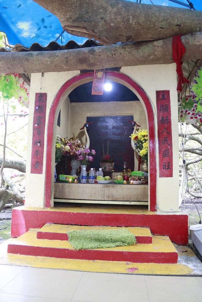 “Mê cung” Giàn Gừa nổi tiếng miền Tây