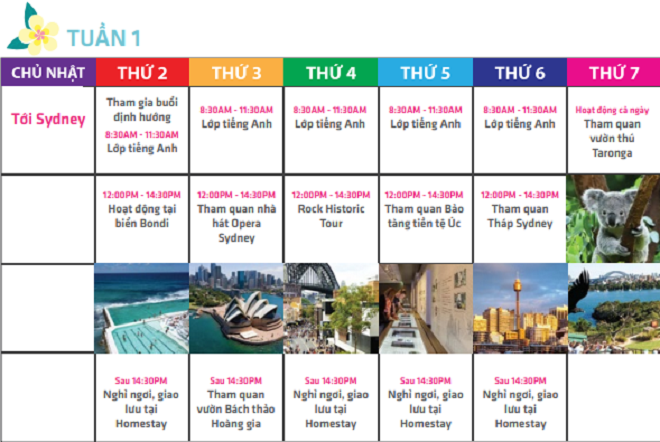 Vì sao du lịch giáo dục Việt lép về trước những trại hè 'nghìn đô'?