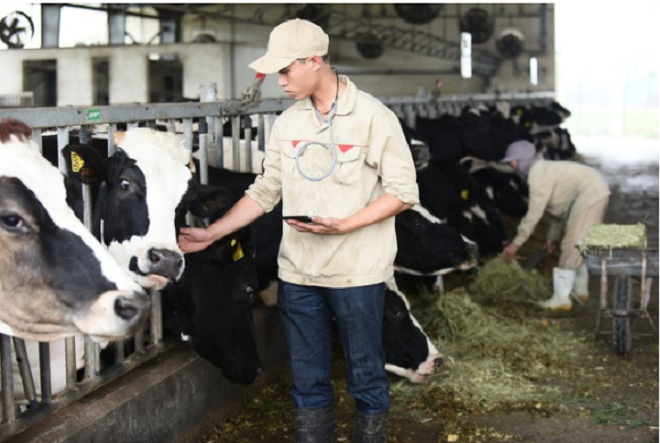 Tất tần tật về DHA chuẩn Hà Lan trong Sữa bột Dutch Lady mẹ nên biết