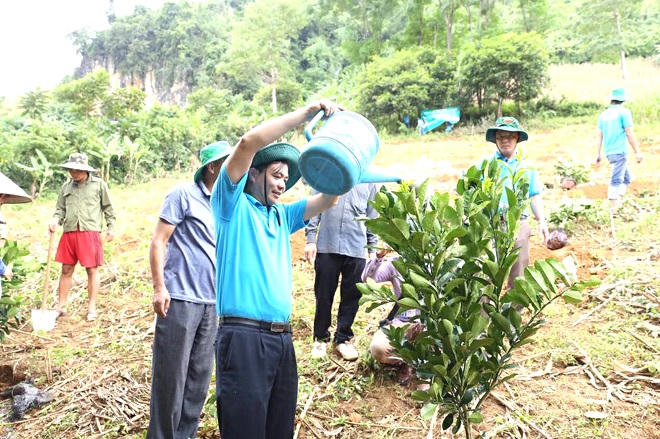 Chàng kỹ sư đam mê làm giàu trên quê hương