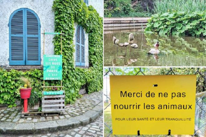 Trào lưu người thành phố tự nuôi trồng đồ ăn