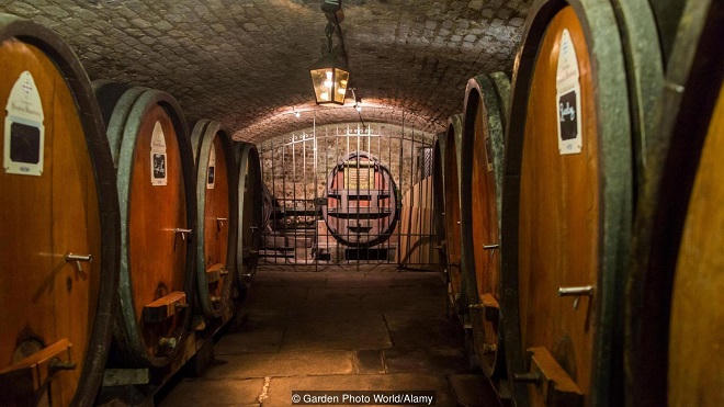 Địa điểm lịch sử dùng rượu vang để… chữa bệnh