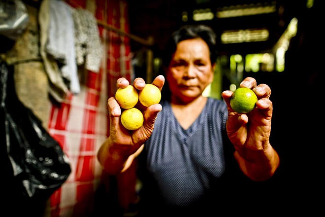 Ảnh hưởng nghiêm trọng của biến đổi khí hậu tại Việt Nam