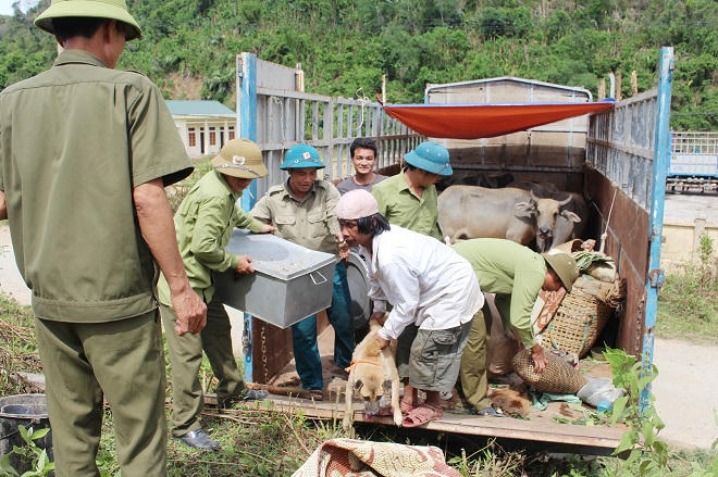 Ngược bến sông Giăng