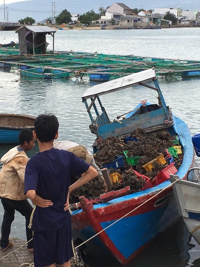 Nghị lực người phụ nữ gầy cơ nghiệp trên vịnh Cam Ranh