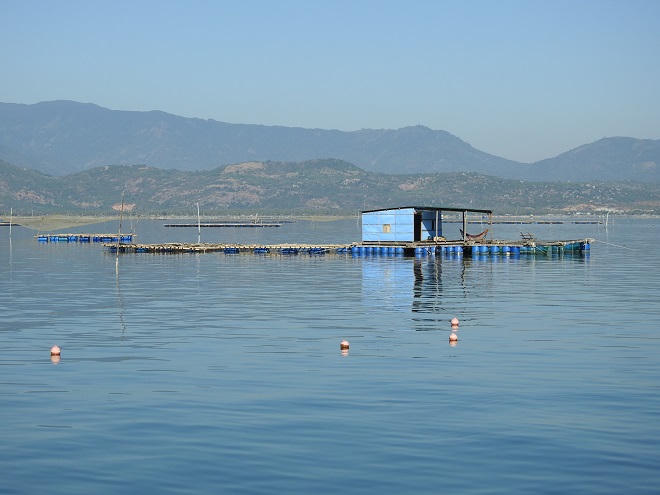 Nghị lực người phụ nữ gầy cơ nghiệp trên vịnh Cam Ranh