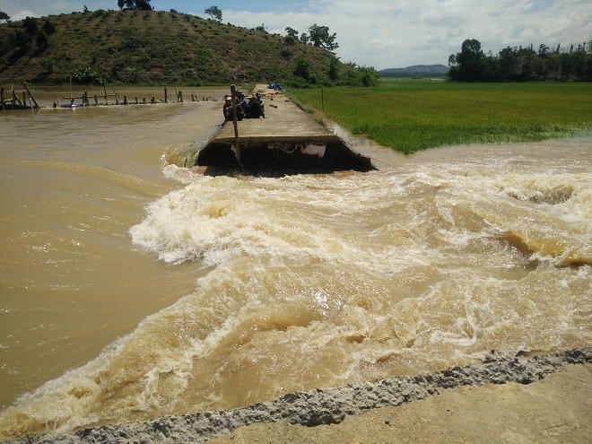 Ngụp lặn giữa dòng nước hộ đê cứu lúa