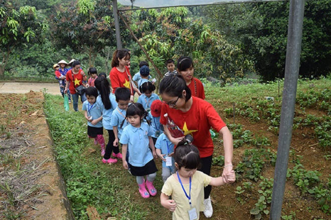 Bỏ phố lên rừng làm thực phẩm sạch