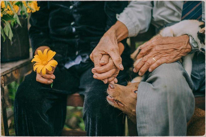 Khi người già… “hồi xuân”