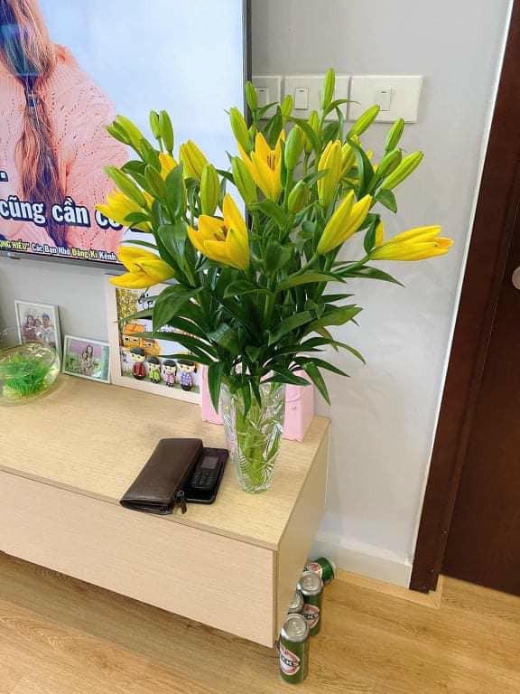 Hoa ly rớt giá thê thảm, cộng đồng mạng kêu gọi 'giải cứu' - ảnh 5