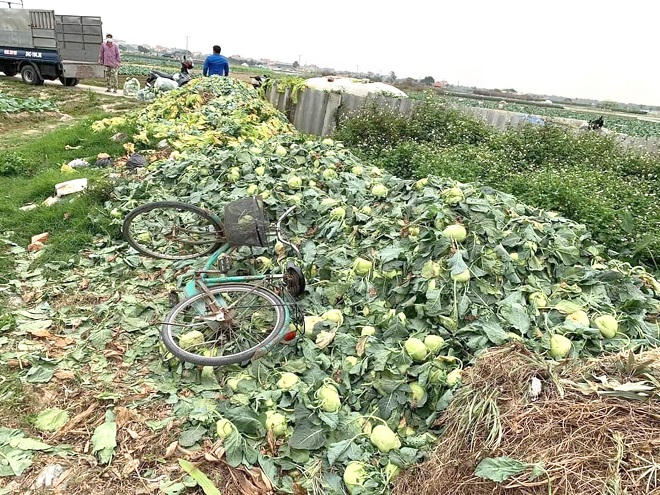 Nỗi khốn khó và tình người