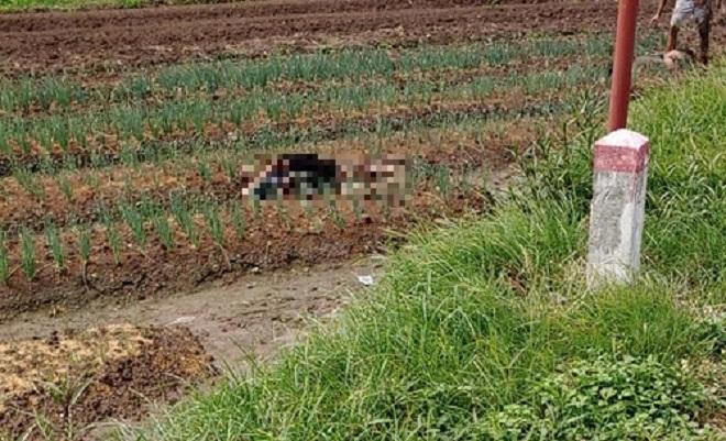 Tin giao thông đến sáng 7/6: Xe tải mất thắng gây tai nạn liên hoàn khiến 2 người tử vong; người đàn ông hoảng loạn bò ra từ gầm xe buýt