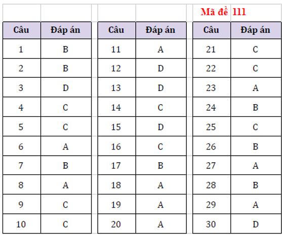 Thi vào lớp 10 Hà Nội: Gợi ý đáp án môn Tiếng Anh