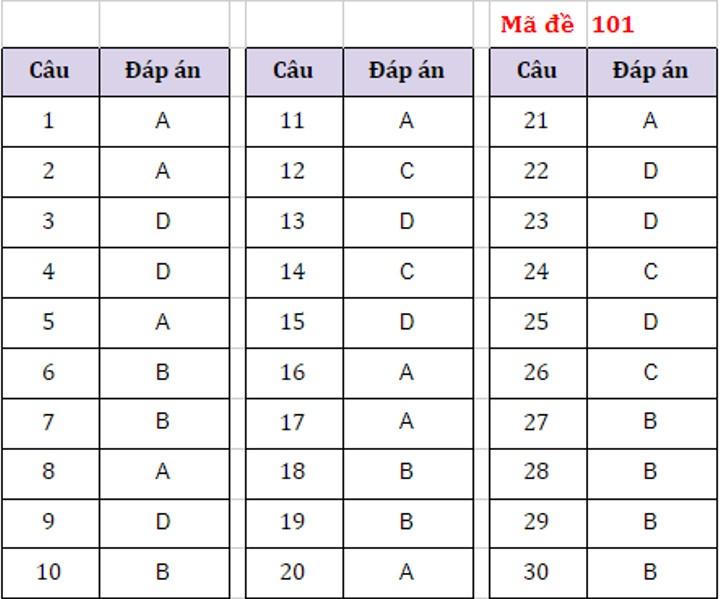 Thi vào lớp 10 Hà Nội: Gợi ý đáp án môn Tiếng Anh