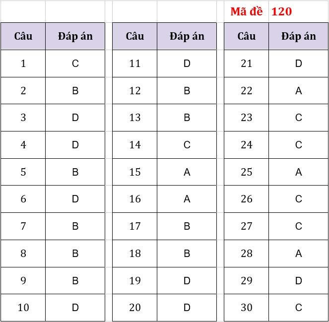 Thi vào lớp 10 Hà Nội: Gợi ý đáp án môn Tiếng Anh