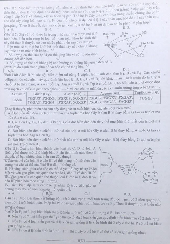 Gợi ý giải đề môn Sinh học tốt nghiệp THPT năm 2021